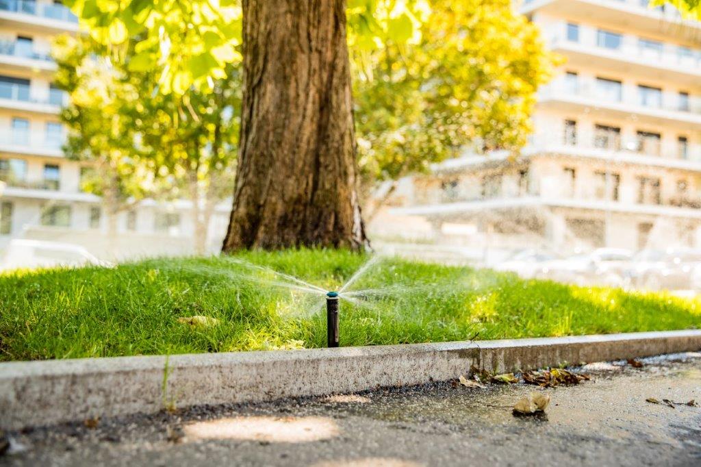 Beispiel für ein Beregnungssystem in einem Park - Parga