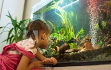 Referenzbild Aquaristik